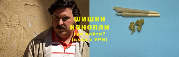 винт Надым
